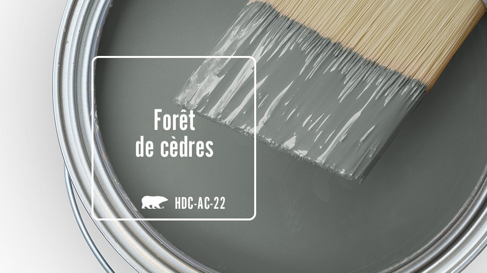 Forêt de cèdres Color for Mobile