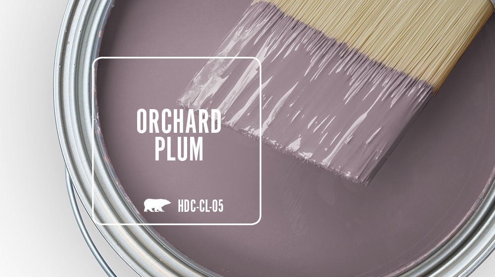 ORCHARD PLUM Color