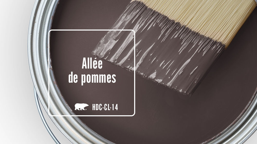 Allée de pommes de pin Color for Mobile