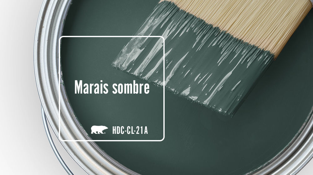 Marais sombre Color for Mobile
