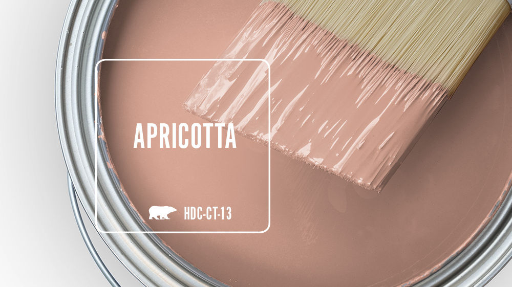APRICOTTA Color