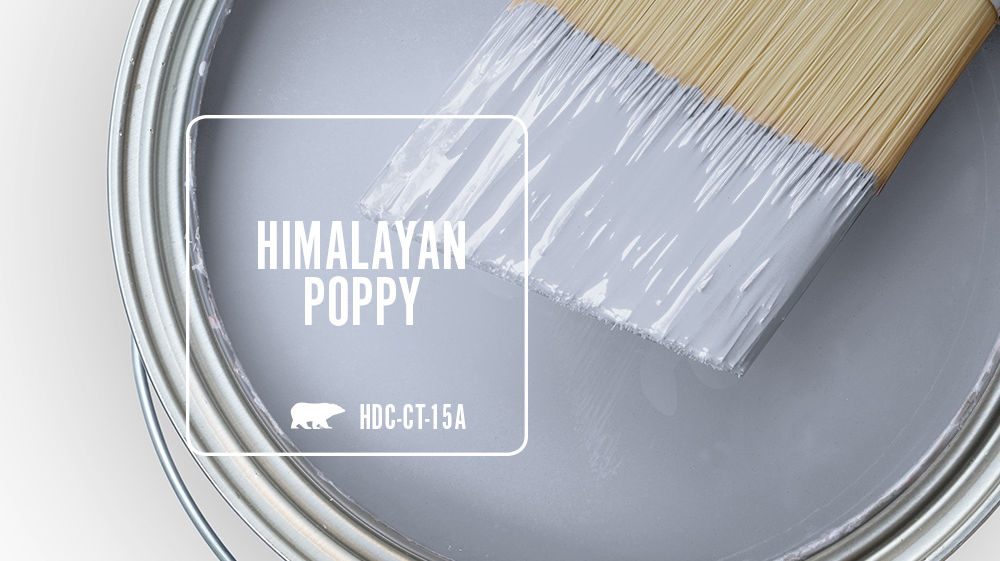 HIMALAYAN POPPY Color