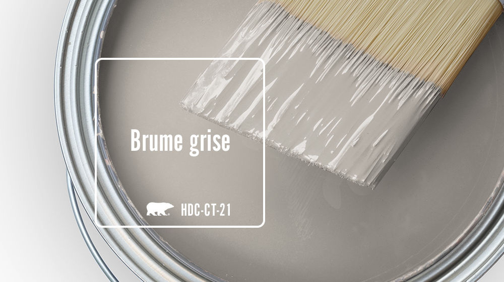 Brume grise Color for Mobile