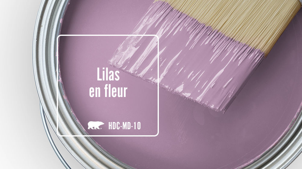 Lilas en fleur Color