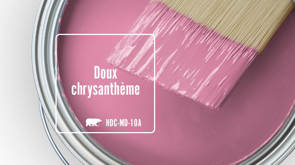 Doux chrysanthŠme Color for Mobile