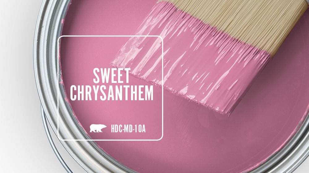 SWEET CHRYSANTHEMUM Color for Mobile