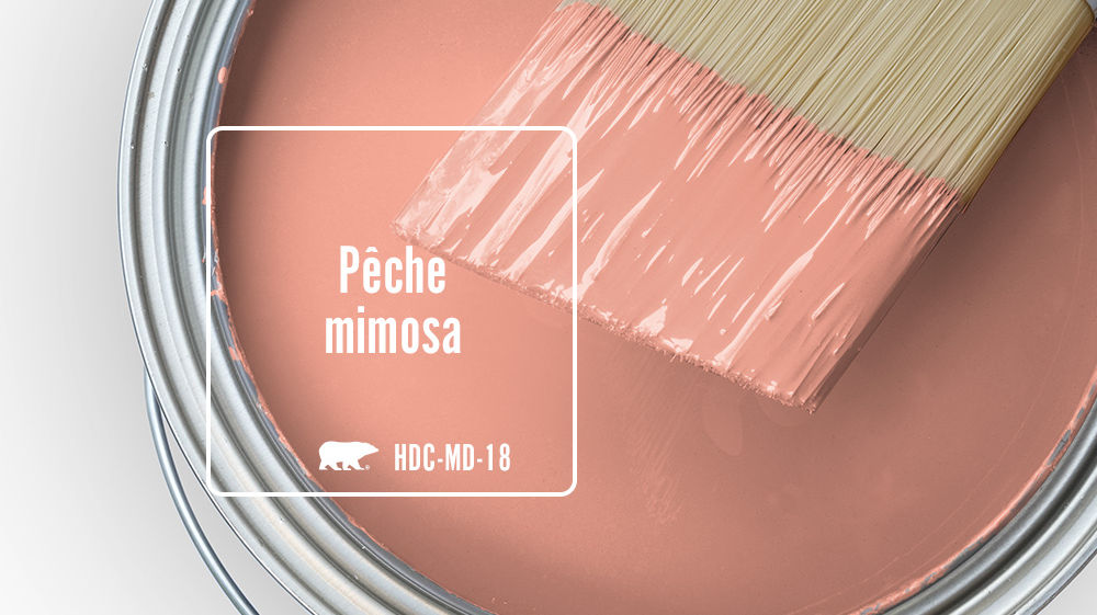 Pêche mimosa Color for Mobile