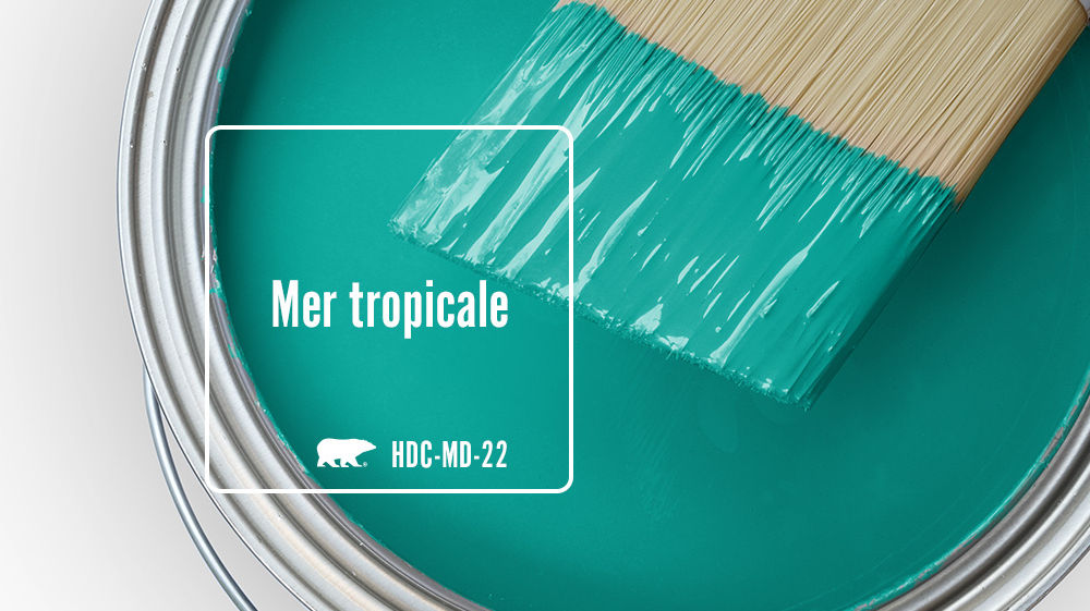 Mer tropicale Color for Mobile