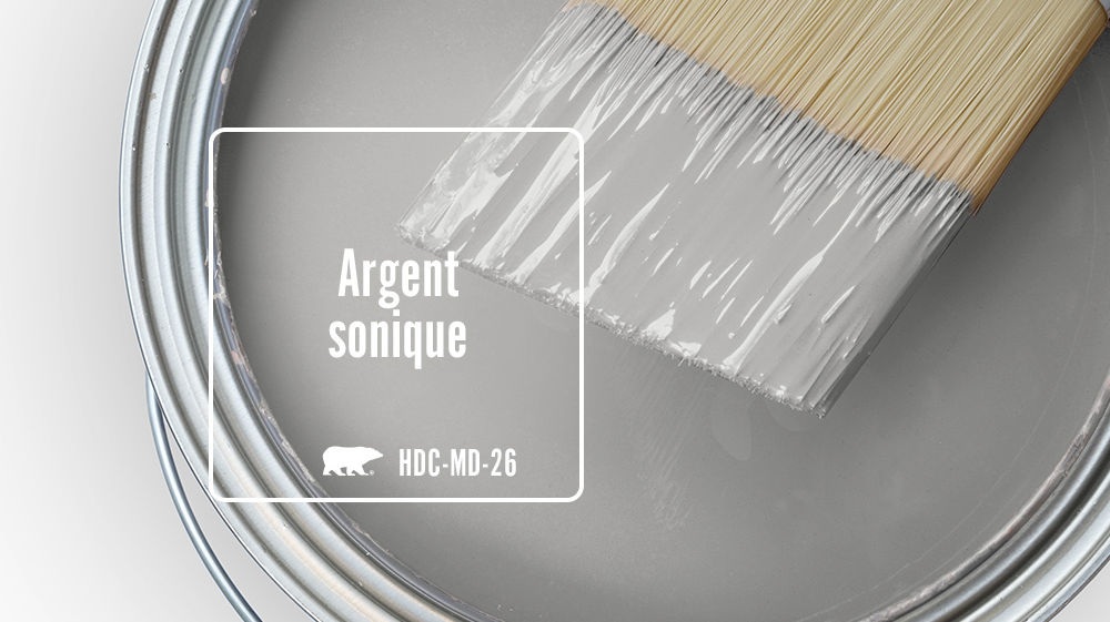 Argent sonique Color for Mobile