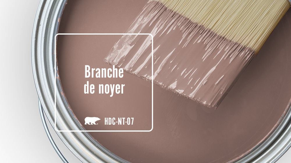 Branche de noyer Color for Mobile