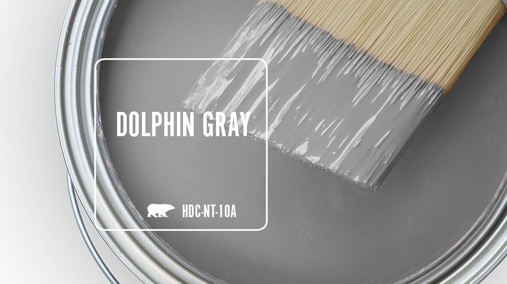 DOLPHIN GRAY Color for Mobile