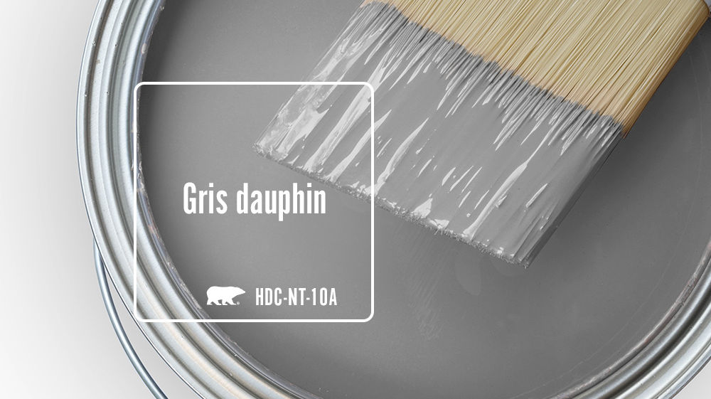 Gris dauphin Color for Mobile