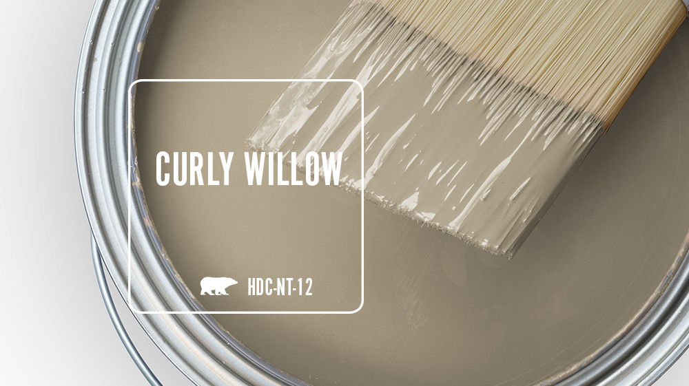 CURLY WILLOW Color for Mobile