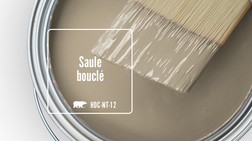 Saule bouclé Color for Mobile