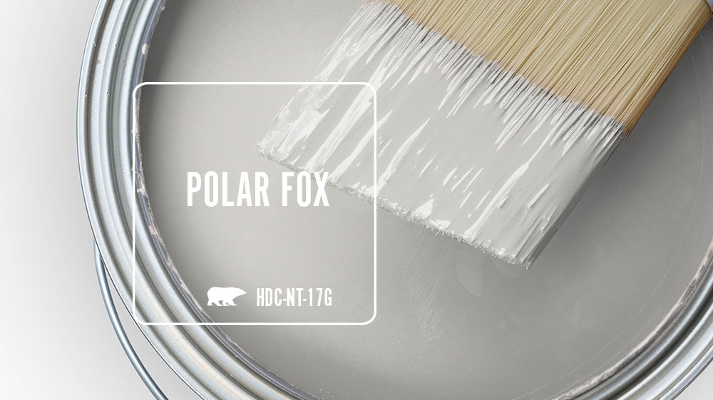 POLAR FOX Color for Mobile