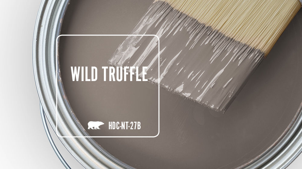 WILD TRUFFLE Color for Mobile
