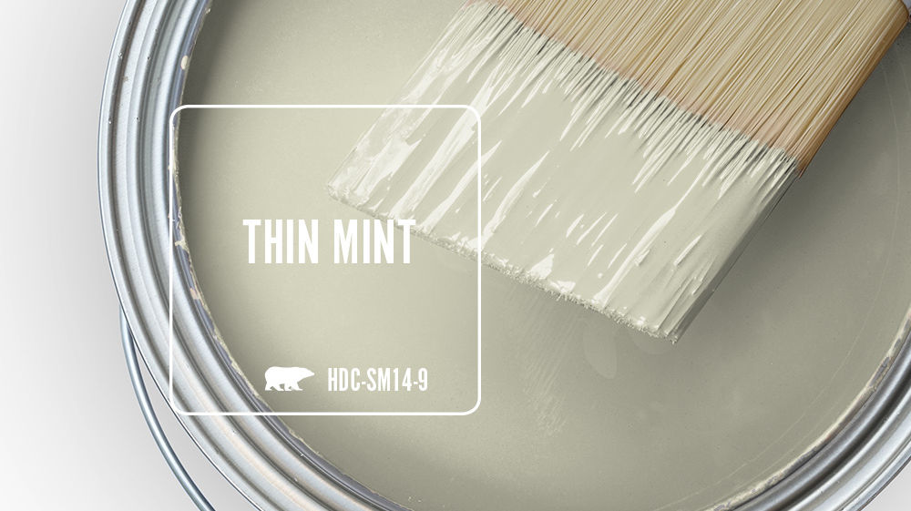 THIN MINT Color for Mobile