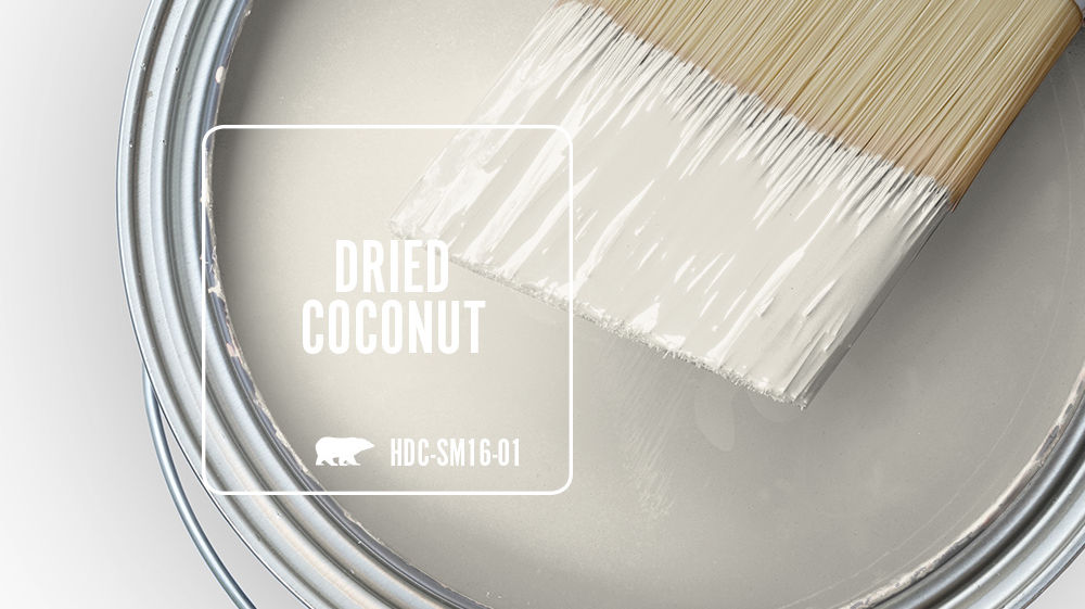 DRIED COCONUT Color for Mobile