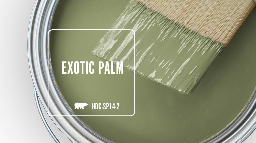EXOTIC PALM Color