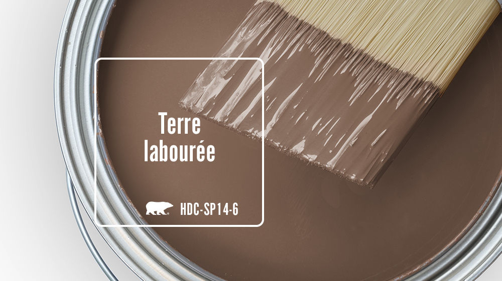 Terre labour Color for Mobile