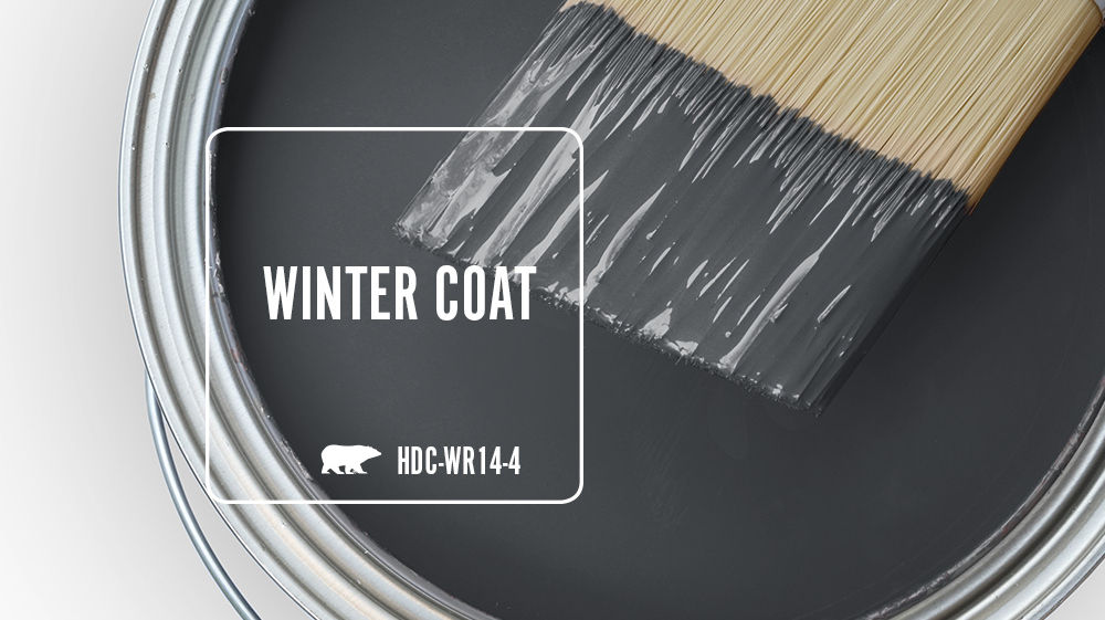 WINTER COAT Color