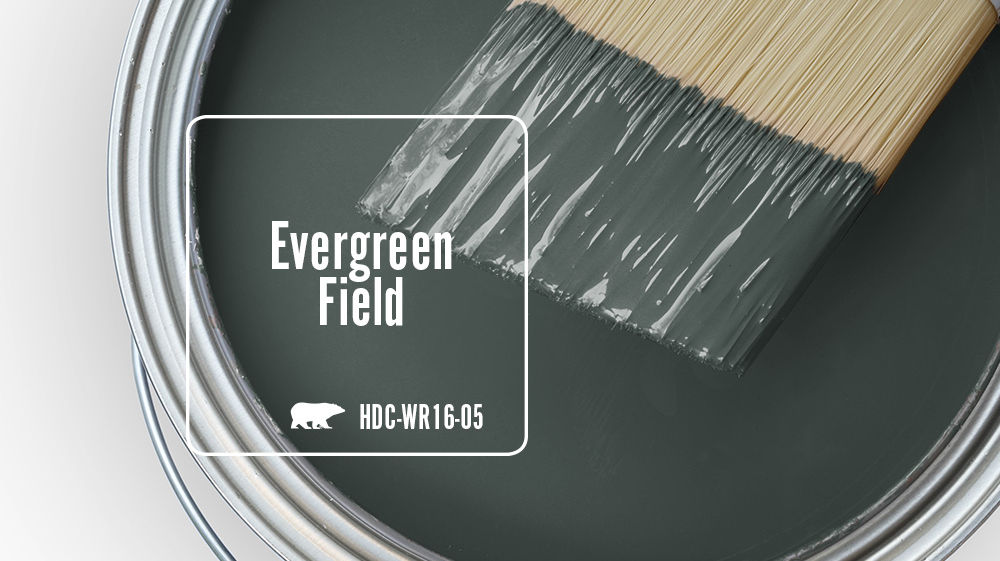 Evergreen Field Color