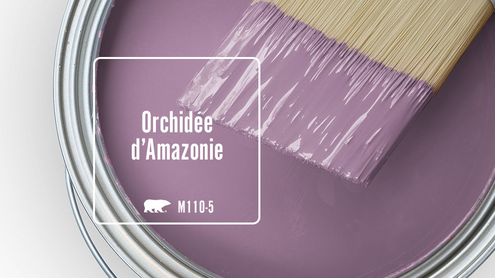 Orchidée d'Amazonie Color for Mobile