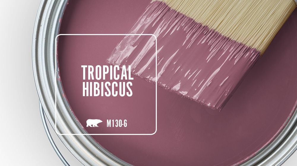 TROPICAL HIBISCUS Color for Mobile
