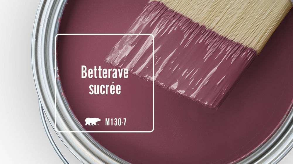 Betterave sucrée Color for Mobile