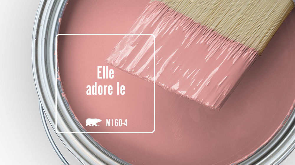 Elle adore le rose Color
