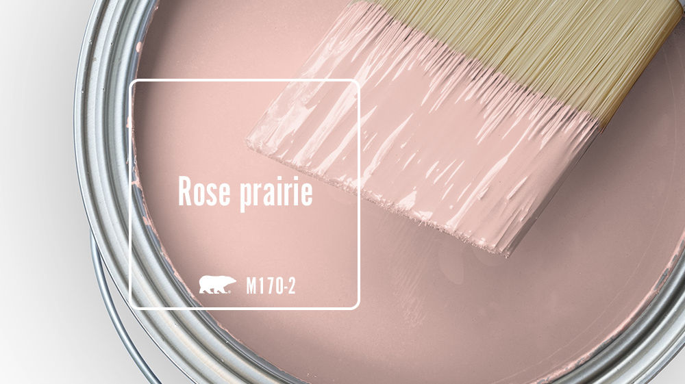 Rose prairie Color for Mobile