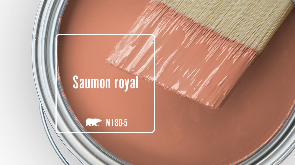 Saumon royal Color for Mobile