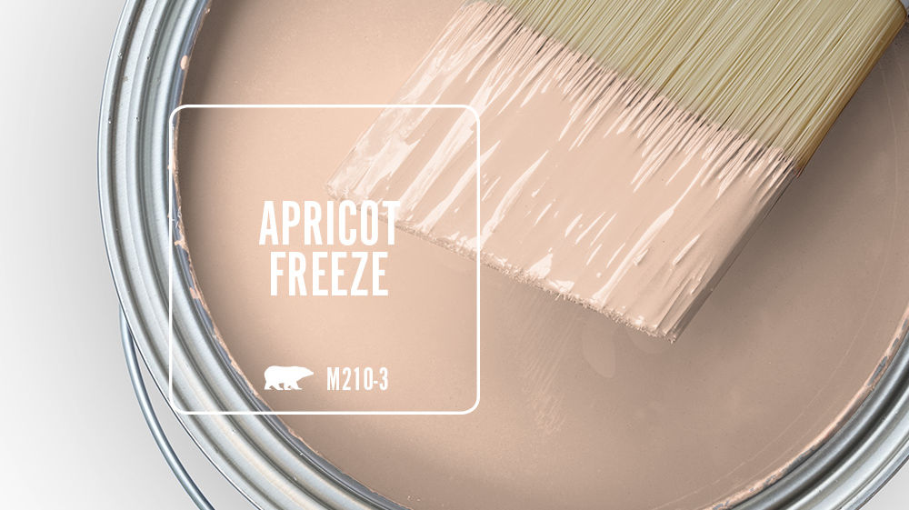 APRICOT FREEZE Color for Mobile