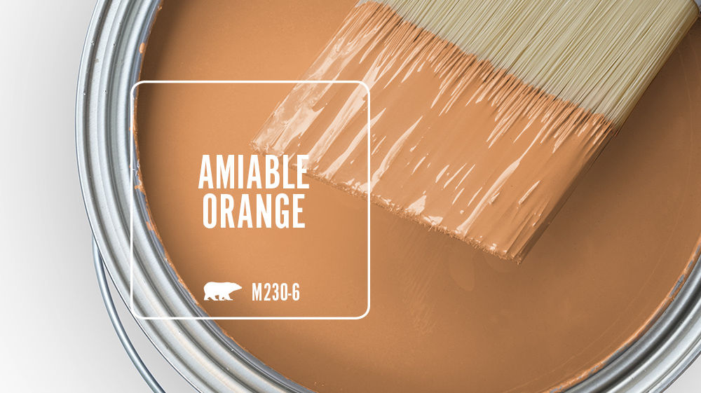 AMIABLE ORANGE Color for Mobile