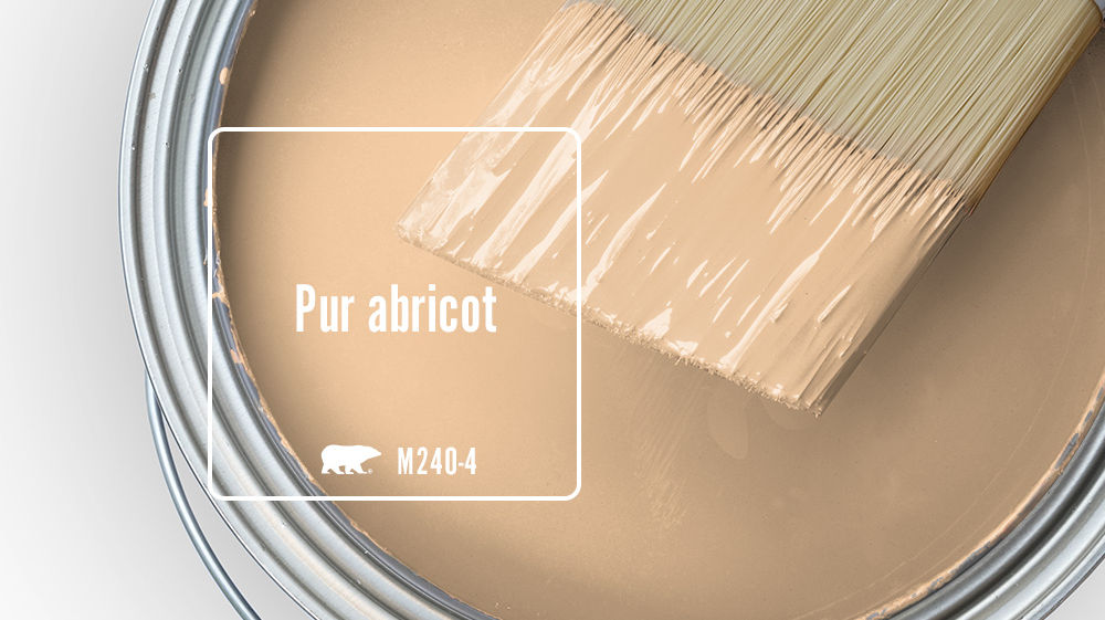 Pur abricot Color for Mobile