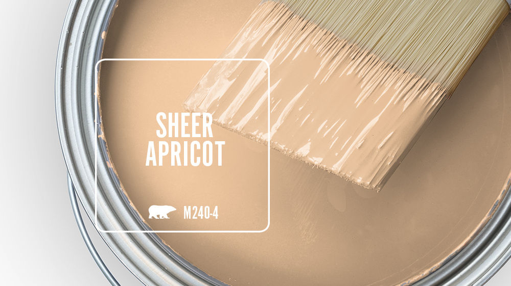 SHEER APRICOT Color for Mobile