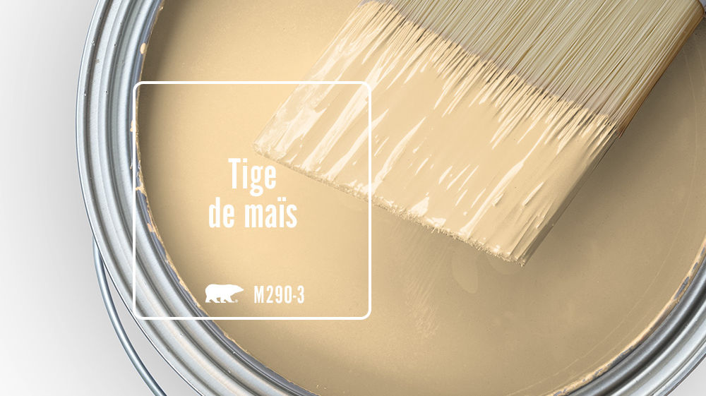 Tige de maïs Color for Mobile