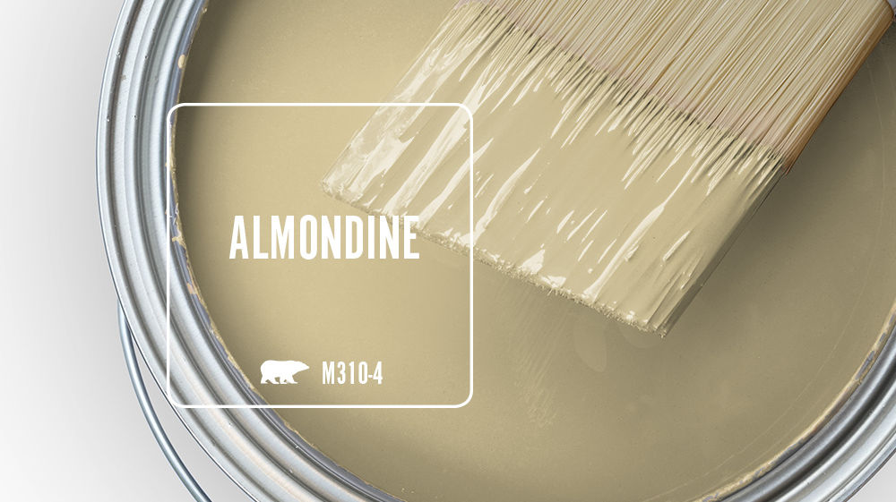 ALMONDINE Color for Mobile