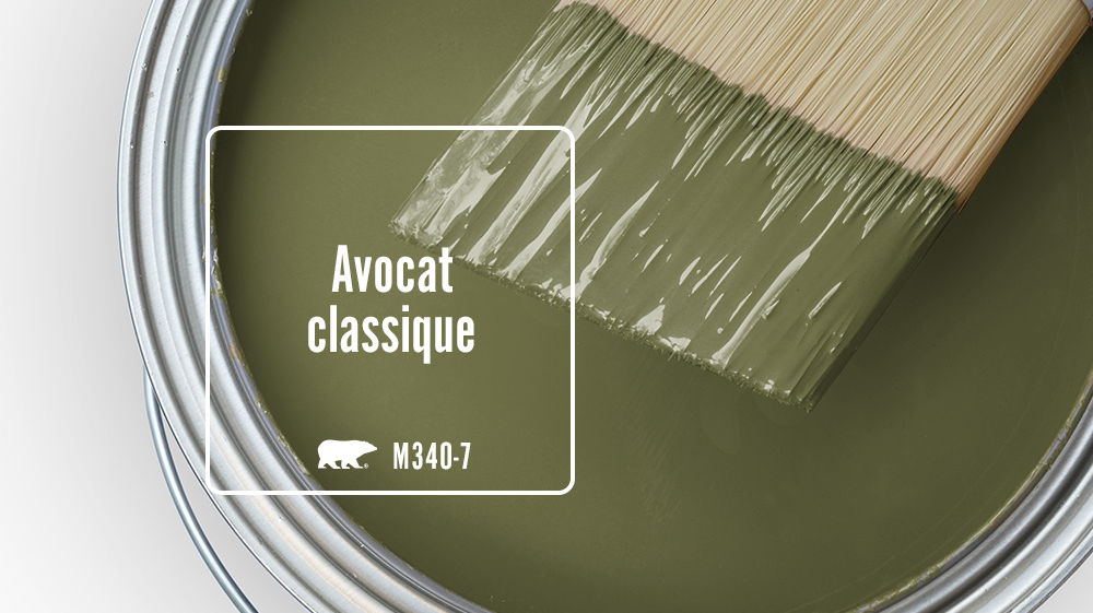 Avocat classique Color for Mobile
