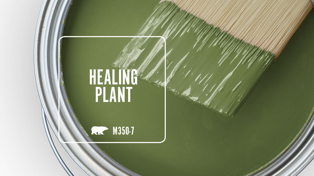 HEALING PLANT Color for Mobile