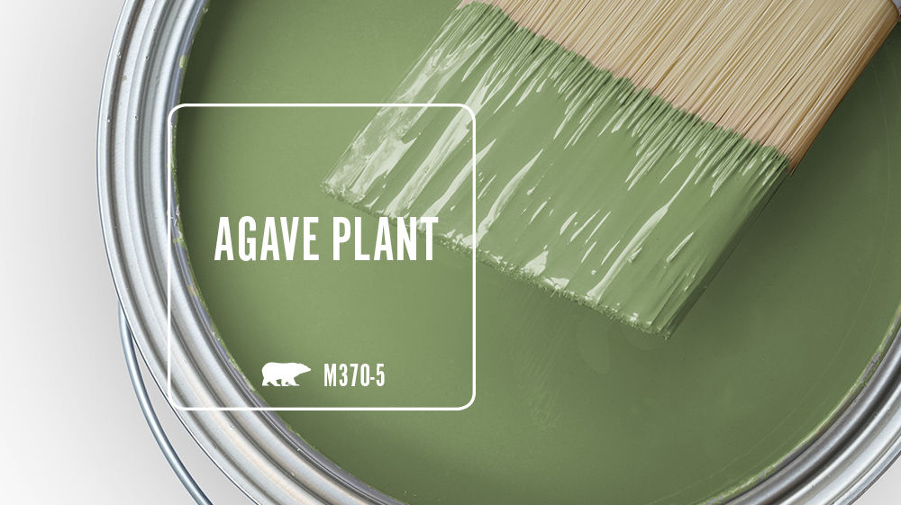 AGAVE PLANT Color for Mobile