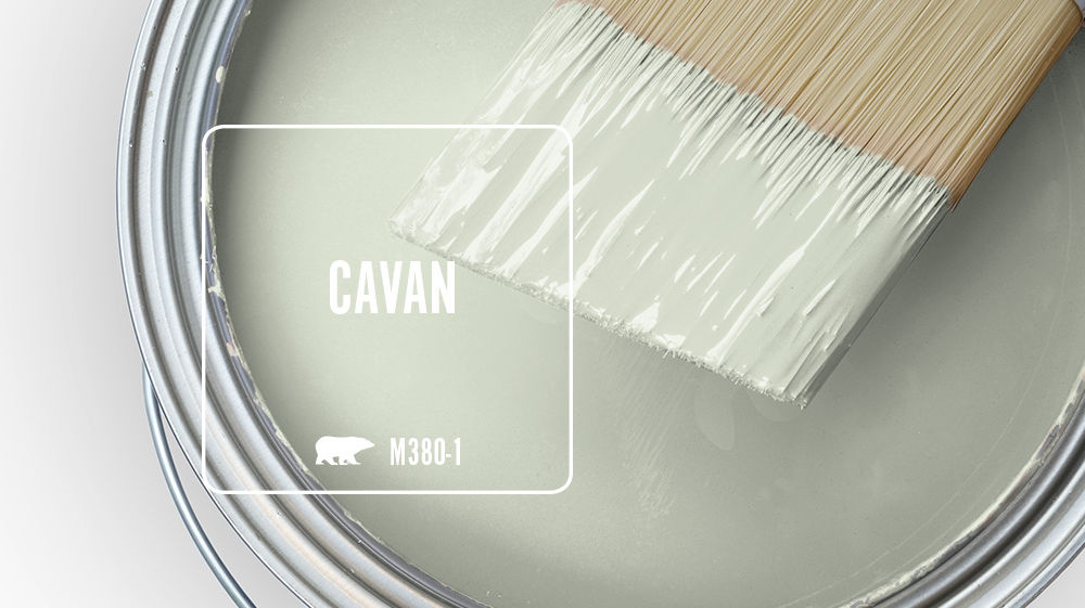 CAVAN Color for Mobile