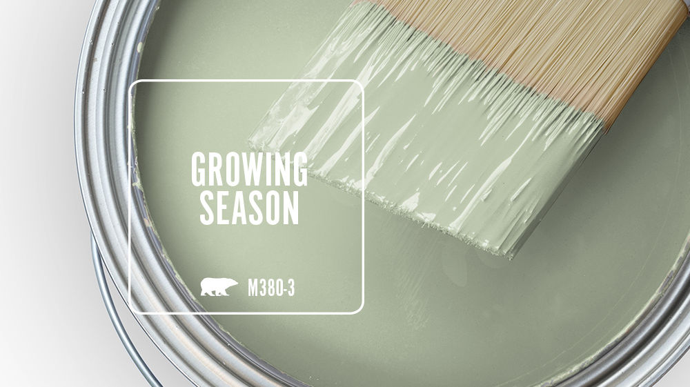 GROWING SEASON Color for Mobile