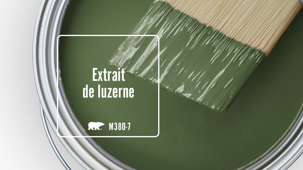 Extrait de luzerne Color for Mobile