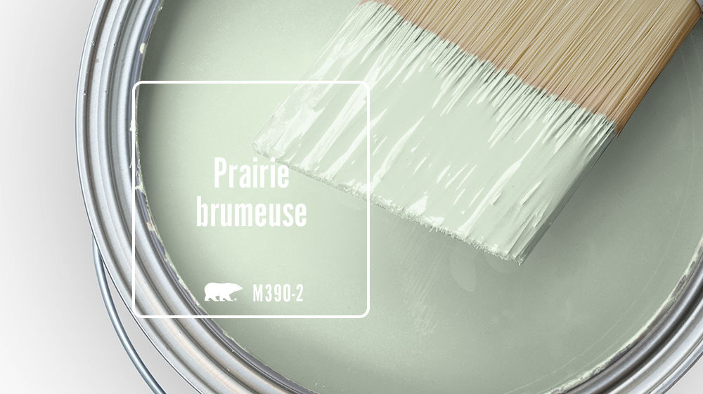 Prairie brumeuse Color for Mobile