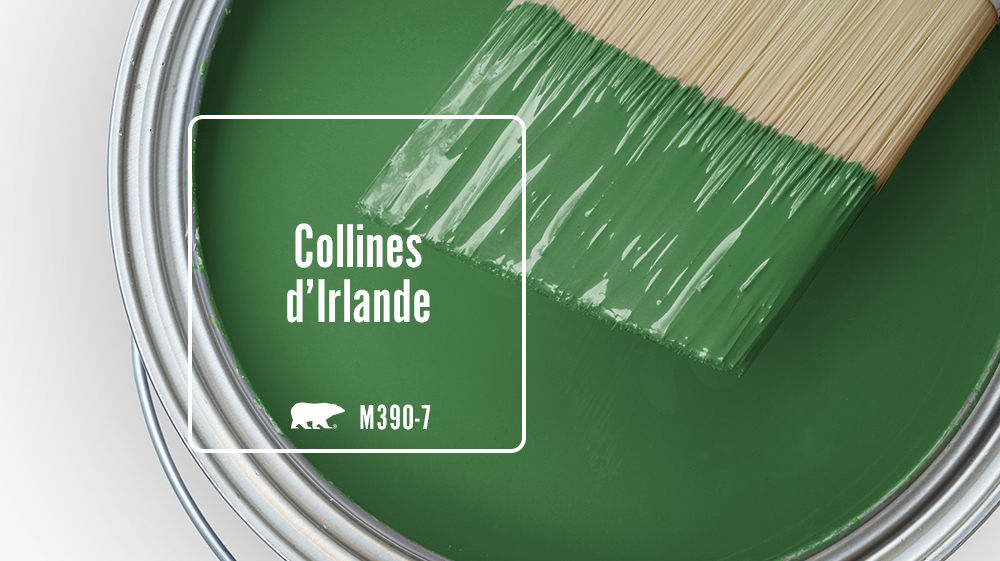Collines d'Irlande Color for Mobile