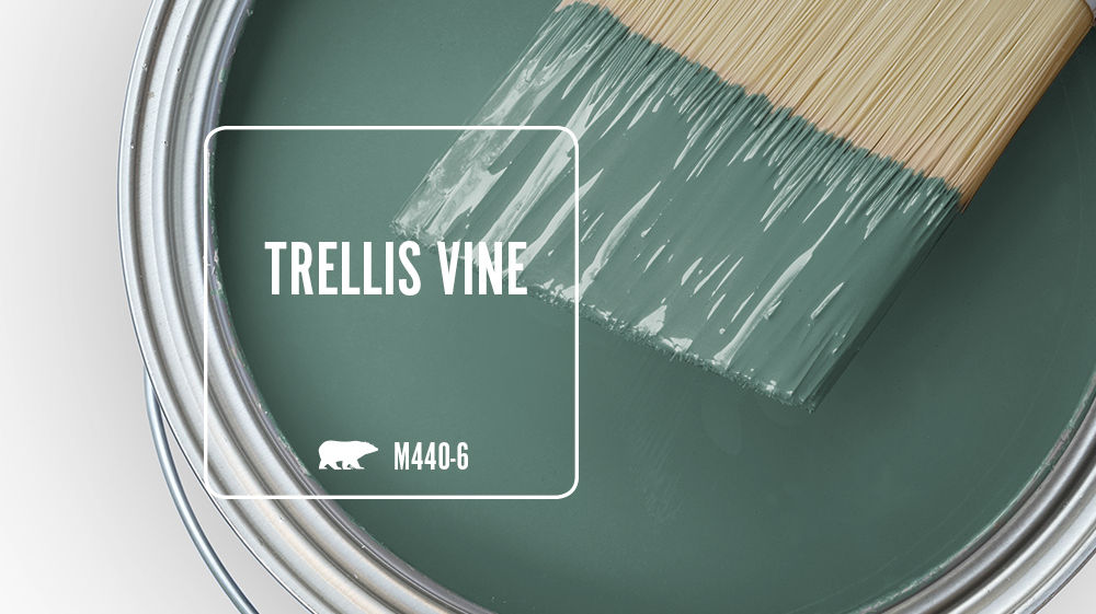 TRELLIS VINE Color for Mobile