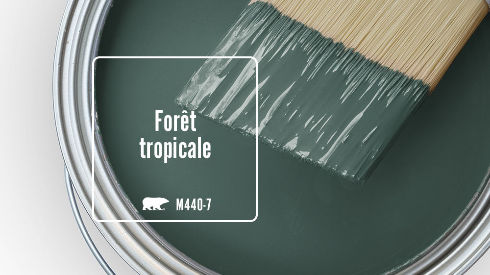 Forêt tropicale Color for Mobile