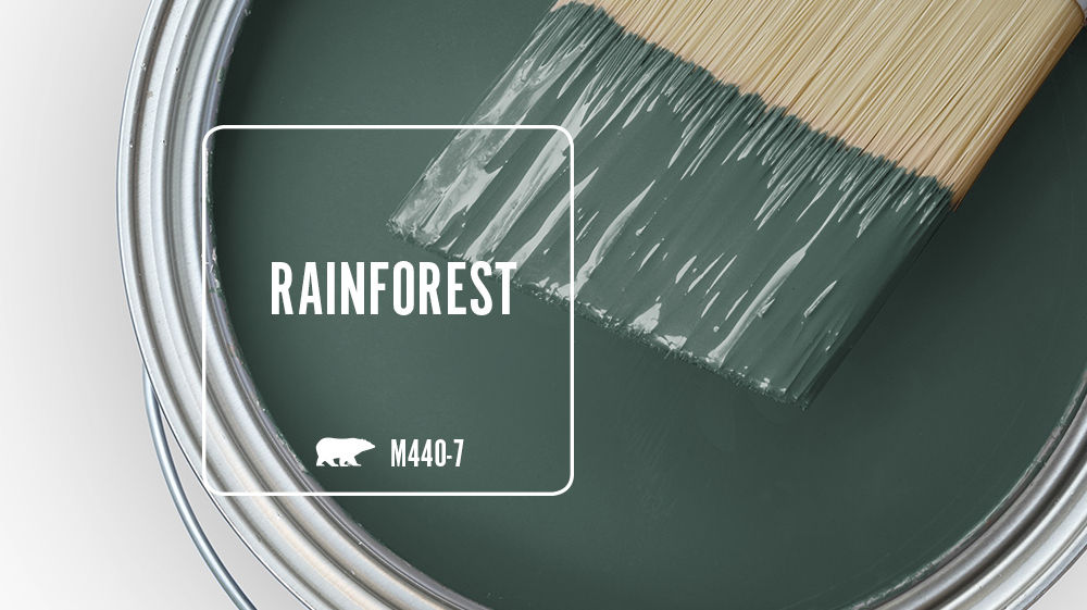 RAINFOREST Color for Mobile