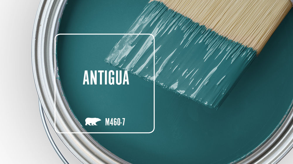 ANTIGUA Color for Mobile